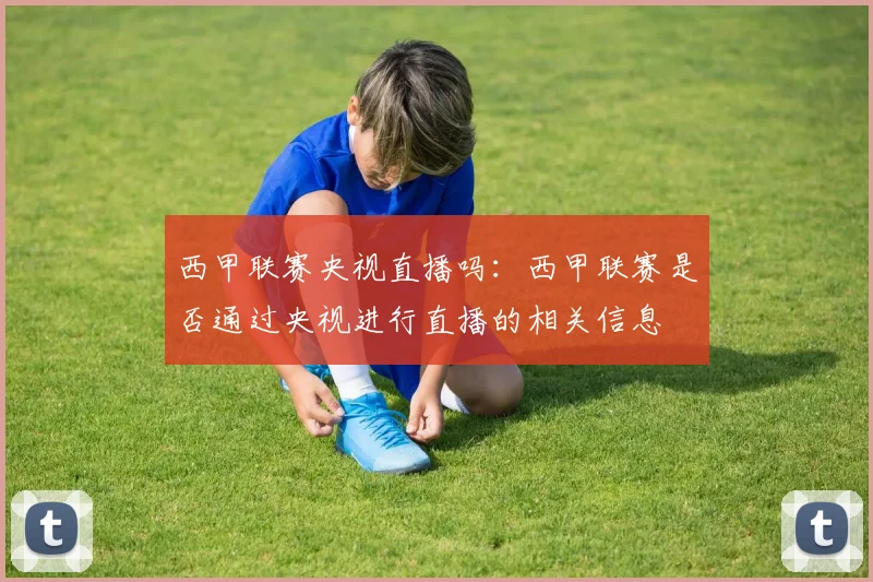 西甲联赛央视直播吗：西甲联赛是否通过央视进行直播的相关信息